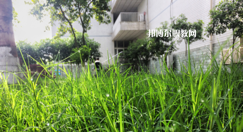 樂(lè)山計(jì)算機(jī)學(xué)校2022年學(xué)費(fèi)、收費(fèi)多少