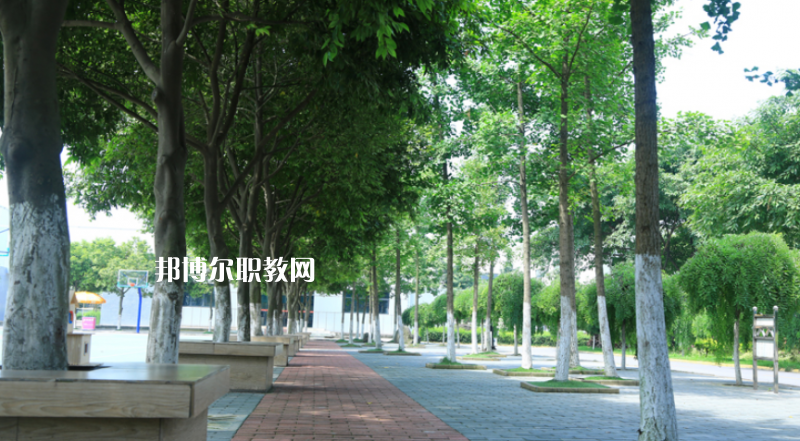 鎮(zhèn)雄縣職業(yè)高級中學(xué)2022年報名條件、招生要求、招生對象