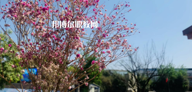 成都華大醫(yī)藥衛(wèi)生學(xué)校怎么樣、好不好
