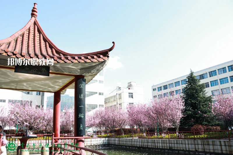 邯鄲永年衛(wèi)生學校2022年網(wǎng)站網(wǎng)址