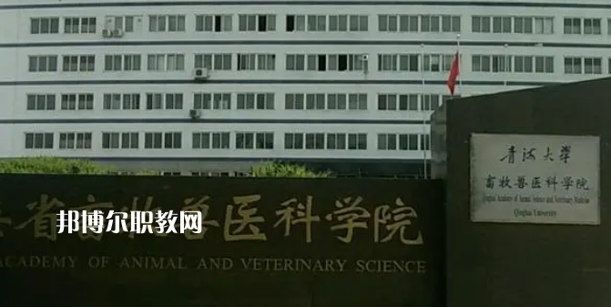 青海高職?？圃盒Ｅ琶?強