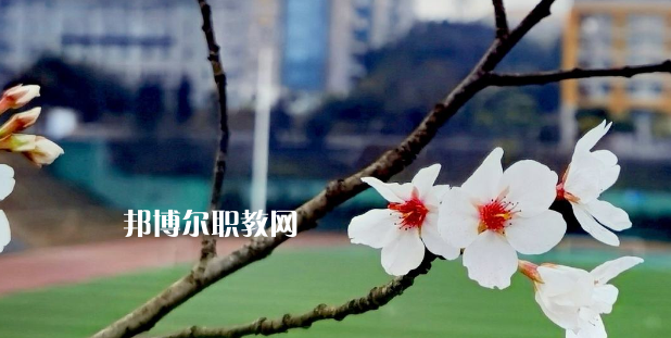2023眉山技師學(xué)院招生計(jì)劃 招生人數(shù)是多少(附要求、條件、對象)