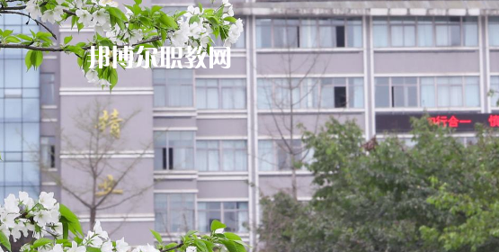 2023眉山技師學(xué)院多少錢(學(xué)費明細(xì))