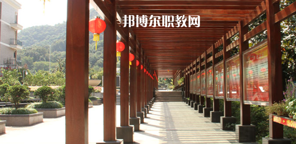 2023杭州市城西中學(xué)職高部招生計(jì)劃 招生人數(shù)是多少(附要求、條件、對(duì)象)