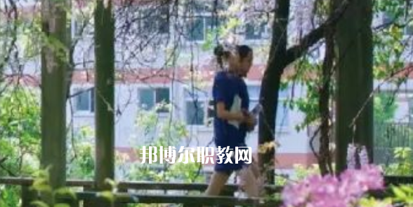 2023金華市成功學(xué)校招生計(jì)劃 招生人數(shù)是多少(附要求、條件、對(duì)象)