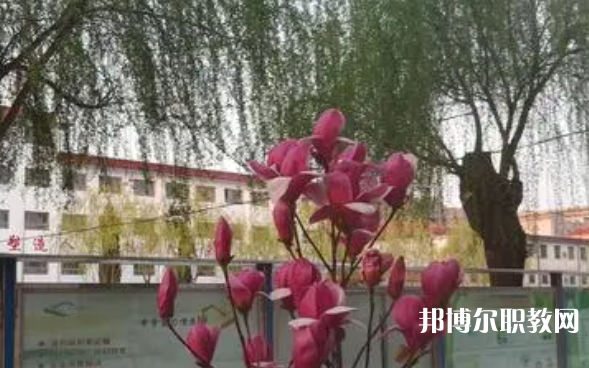 2023柏鄉(xiāng)縣職教中心招生計(jì)劃 招生人數(shù)是多少(附要求、條件、對象)