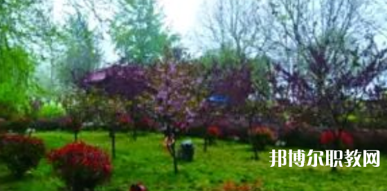 2023隆堯縣職業(yè)技術(shù)教育中心招生計(jì)劃 招生人數(shù)是多少(附要求、條件、對(duì)象)