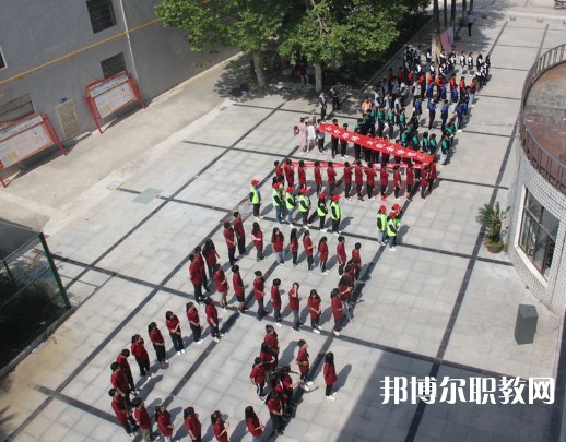 武漢新洲高級職業(yè)中學2023年招生錄取分數線（2024參考）