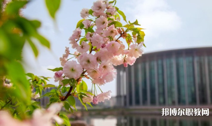 河南藝術(shù)職業(yè)學(xué)院中專部怎么樣、好不好