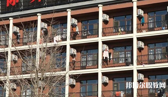2024大連國際舞蹈學(xué)校招生計劃 招生人數(shù)是多少(附要求、條件、對象)
