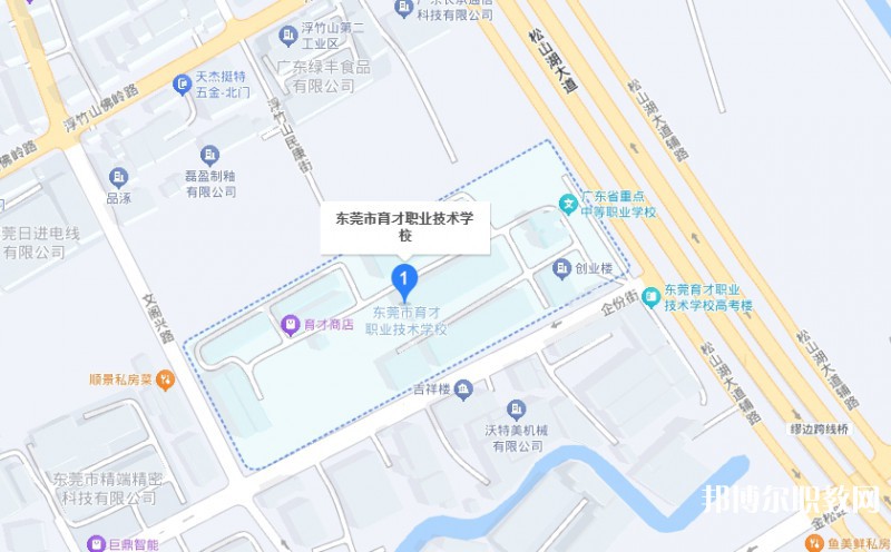 東莞市育才職業(yè)技術學校地址，乘車路線