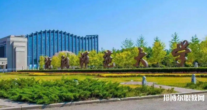 沈陽師范大學附屬藝術(shù)學校招生簡章2025年