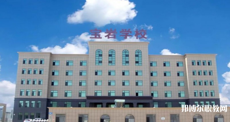2025沈陽寶巖藝術(shù)學(xué)校招生計(jì)劃 招生人數(shù)是多少(附要求、條件、對(duì)象)