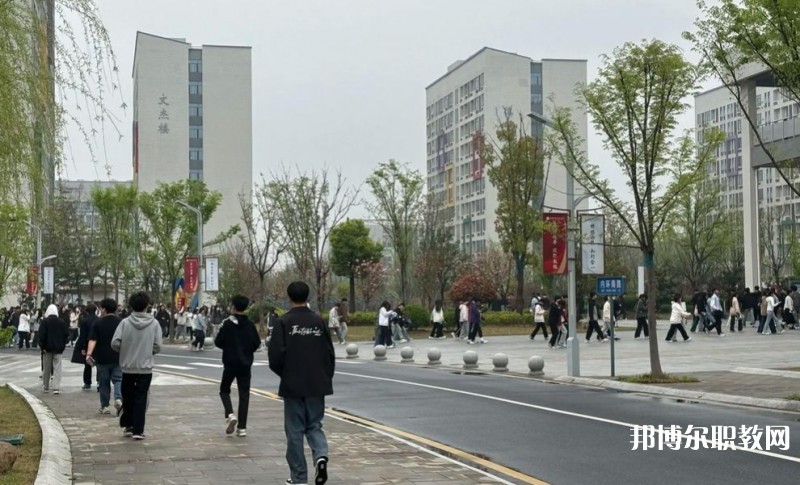2025合肥技師學(xué)院招生計劃 招生人數(shù)是多少(附要求、條件、對象)