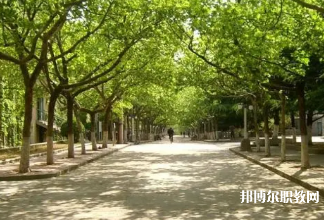 成都2025年讀鐵路學(xué)?？梢钥即髮W(xué)嗎